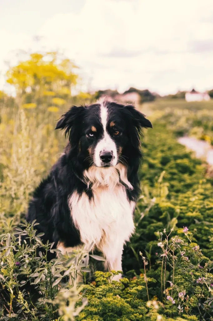 Grand Panier - abonnement 40 semaines (Paiement en 1 fois | 30/04)