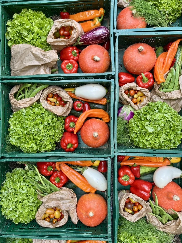 Grand Panier (3 à 4 pers) - abonnement 40 semaines